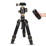 Adjustable Mini Tripod with Carrying Bag, 8-20inch