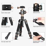 Adjustable Mini Tripod with Carrying Bag, 8-20inch