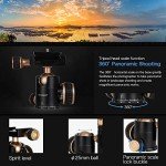 Adjustable Mini Tripod with Carrying Bag, 8-20inch