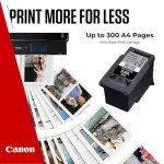 Canon PG-540L High Yield Black Ink Cartridge