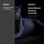 Valerion VisionMaster Pro2 4K Triple Laser Projector