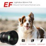 Lightdow 85mm F1.8 Manual Focus Lens for Canon
