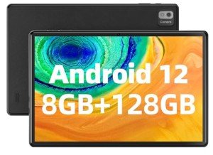 SGIN 10.1" Android Tablet with 8GB RAM