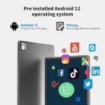 SGIN 10.1" Android Tablet with 8GB RAM