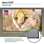 Elite Screens 123-Inch Edge Free Projector Screen