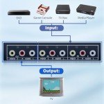 2-Way RCA Video and Audio Switcher Box
