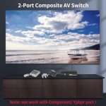 2-Way RCA Video and Audio Switcher Box