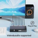 2-Way RCA Video and Audio Switcher Box