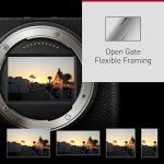 Panasonic Lumix DC-S9KE-G Full Frame Vlogging Camera