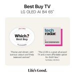 LG 65-Inch 4K UHD Smart OLED TV
