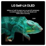 LG 65-Inch 4K UHD Smart OLED TV