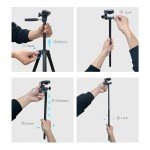 KINGJOY 71'' Tripod for Canon, Nikon, & Phones