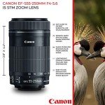 Canon EOS 80D DSLR Camera Bundle with Lenses