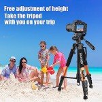 ZOMEi Heavy Duty 188cm Travel Tripod Stand