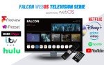Falcon 24" Smart TV with DVD and Bluetooth