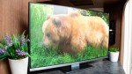 Falcon 24" Smart TV with DVD and Bluetooth