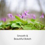 Sony 50mm f/1.4 Zeiss Lens for E Mount