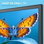 ZOSHING 20-Inch Full HD LED TV with Mount