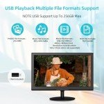 ZOSHING 20-Inch Full HD LED TV with Mount