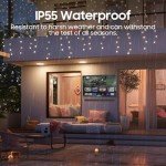 43" 4K QLED Smart Outdoor TV with Dolby Atmos