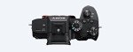 Sony Alpha 7R III Mirrorless Camera