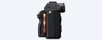 Sony Alpha 7R III Mirrorless Camera