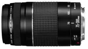 Canon EF 75-300mm Telephoto Zoom Lens