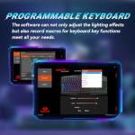 Redragon S101 RGB Gaming Keyboard & Mouse Combo