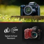 Panasonic LUMIX DC-G9M2E Mirrorless Camera, 25.2MP