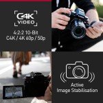 Panasonic LUMIX DC-G9M2E Mirrorless Camera, 25.2MP