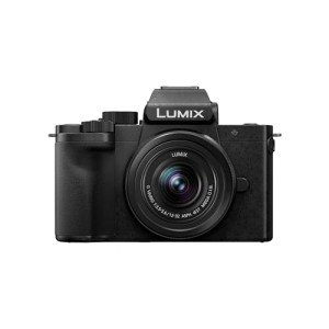 Panasonic Lumix DC-G100 Mirrorless Camera Bundle