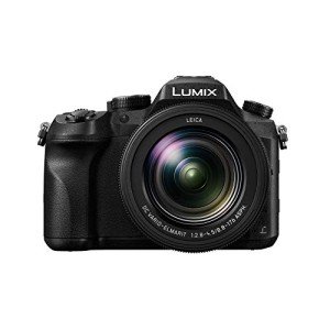 Panasonic Lumix FZ2000 Bridge Camera with 4K Video
