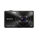 Sony DSC-WX220 18MP Digital Camera with 10x Zoom