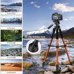 74" Heavy Duty Tripod for Camera & Phone