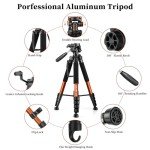 74" Heavy Duty Tripod for Camera & Phone