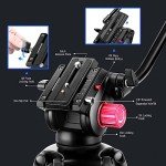 NEEWER 79" Heavy Duty Aluminum Video Tripod Stand