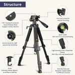 Eicaus 67" Tripod Stand for Cameras and Phones