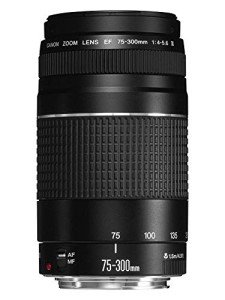 Canon EF 75-300mm f/4-5.6 III Zoom Lens