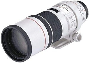 Canon EF 300mm f/4L IS USM Lens