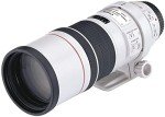 Canon EF 300mm f/4L IS USM Lens