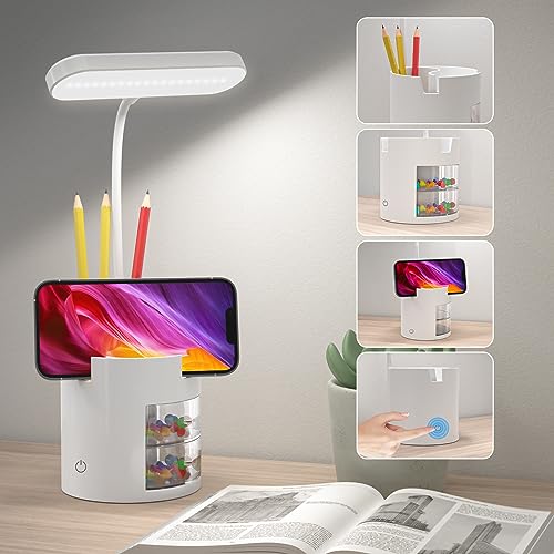 Multi-function LED Desk Lamp for Study and Office