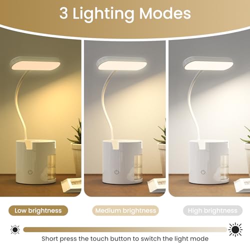 Multi-function LED Desk Lamp for Study and Office