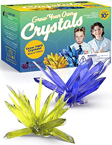 2 Large Crystals - Crystal Growing Kit for Kids