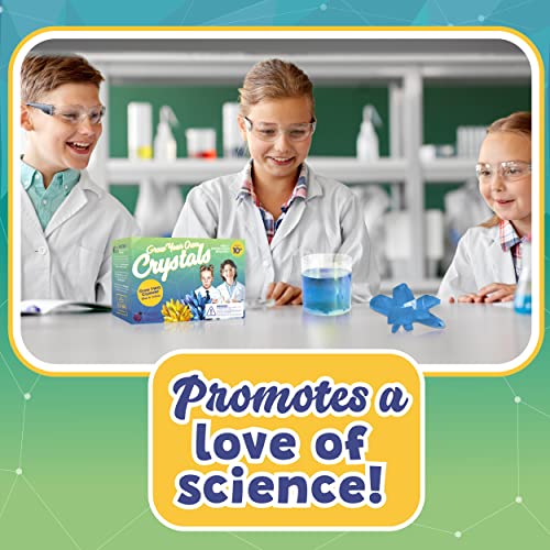2 Large Crystals - Crystal Growing Kit for Kids