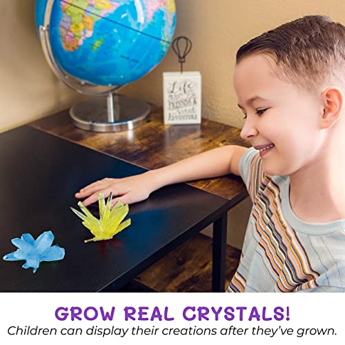 2 Large Crystals - Crystal Growing Kit for Kids
