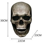 Realistic 3D Skull Mask with Movable Jaw