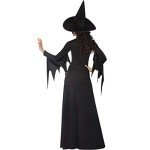 Classic Purple Witch Costume and Hat for Adults