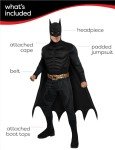 Men's Batman Muscle Costume - Dark Knight Rises
