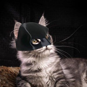 Cute Cat Bat Mask for Halloween Costume