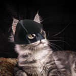 Cute Cat Bat Mask for Halloween Costume